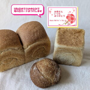 全粒パン食べ比べセット