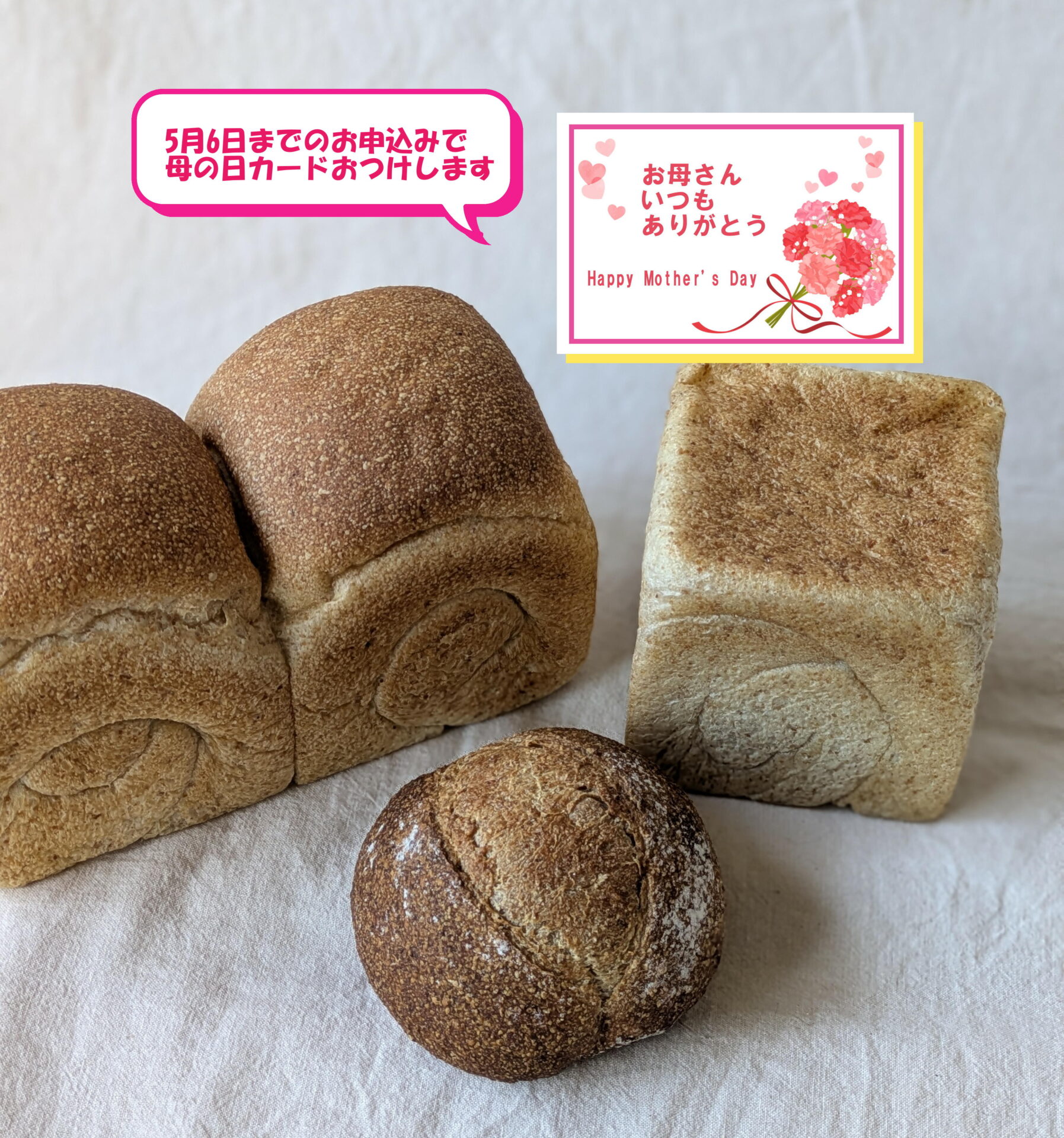 全粒パン食べ比べセット